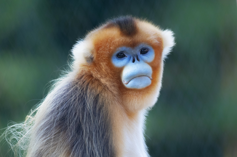 ZooParc de Beauval x Tour de France Parrainages