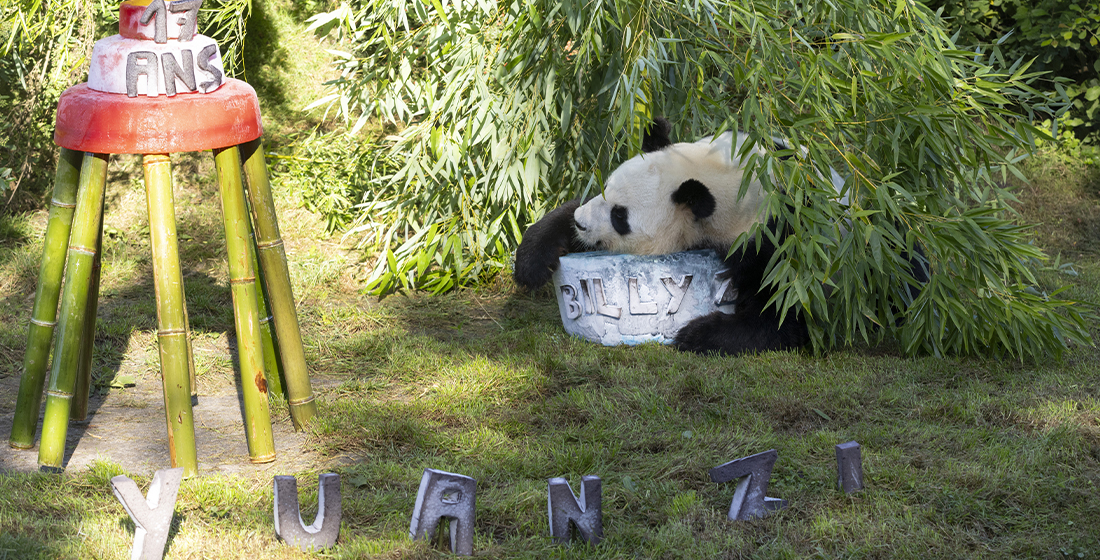 Anniversaire Yuan Zi samedi 6 septembre 2025