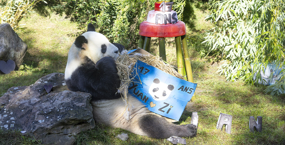 Anniversaire Yuan Zi samedi 6 septembre 2025