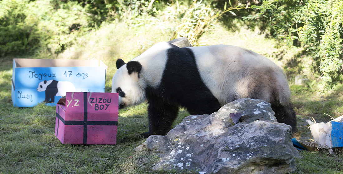 Anniversaire Yuan Zi samedi 6 septembre 2025