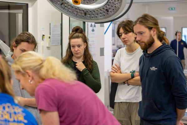 Visite des étudiants vétérinaires européens