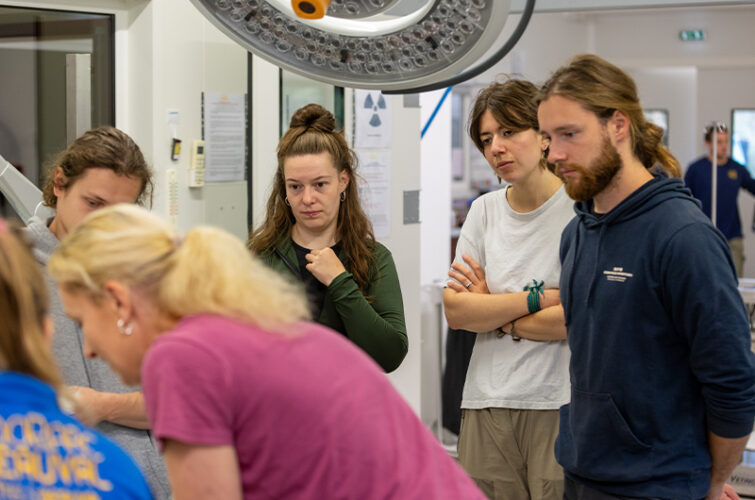 Visite des étudiants vétérinaires européens