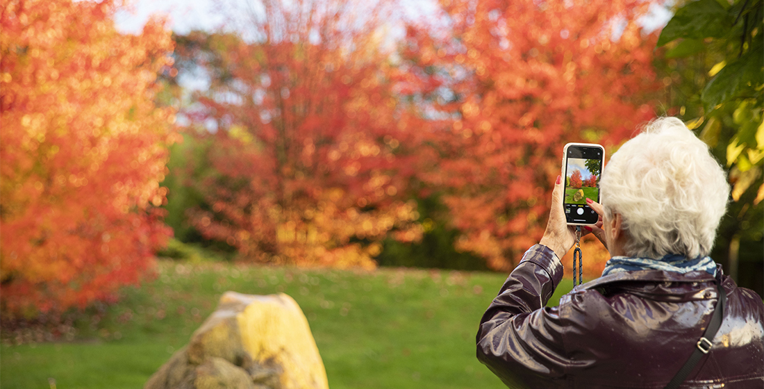 L'automne à Beauval 2025 L'automne à Beauval 2025