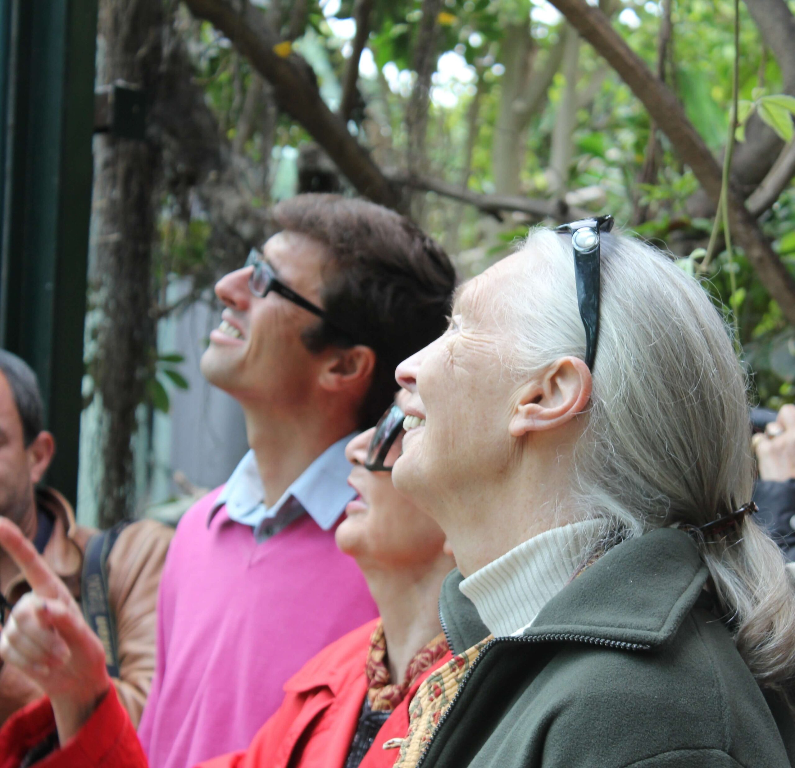 Visite de Jane Goodall au ZooParc de Beauval en 2011