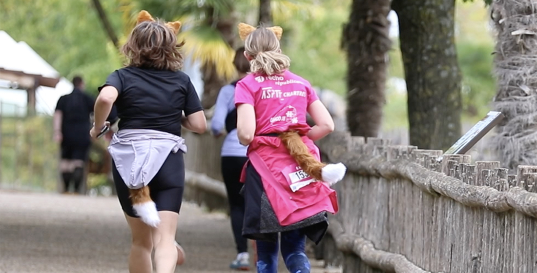 Envolée de Beauval costumé