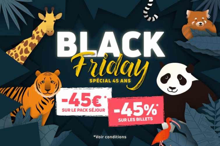 Black Friday Beauval 2025