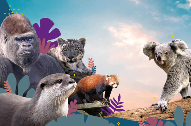 Quiz quel animal êtes vous parrainages novembre 2025