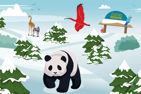 Jeu Calendrier de l'Avent Beauval 2025