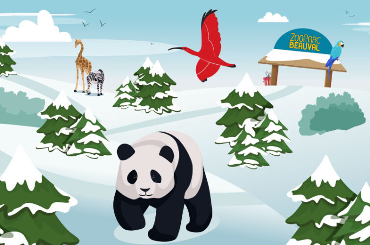 Jeu Calendrier de l'Avent Beauval 2025