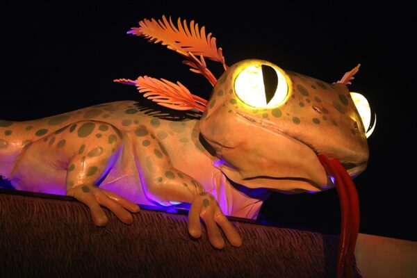 Visite guidée MonstroZoo