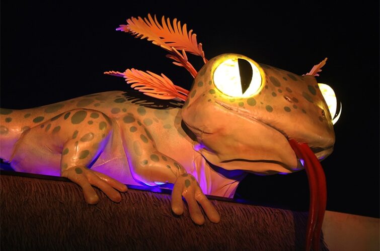 Visite guidée MonstroZoo