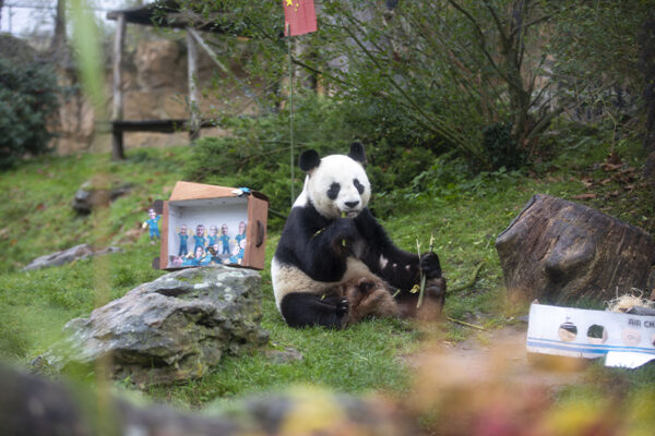 Yuan Zi pendant son dernier goûter avant son départ en Chine