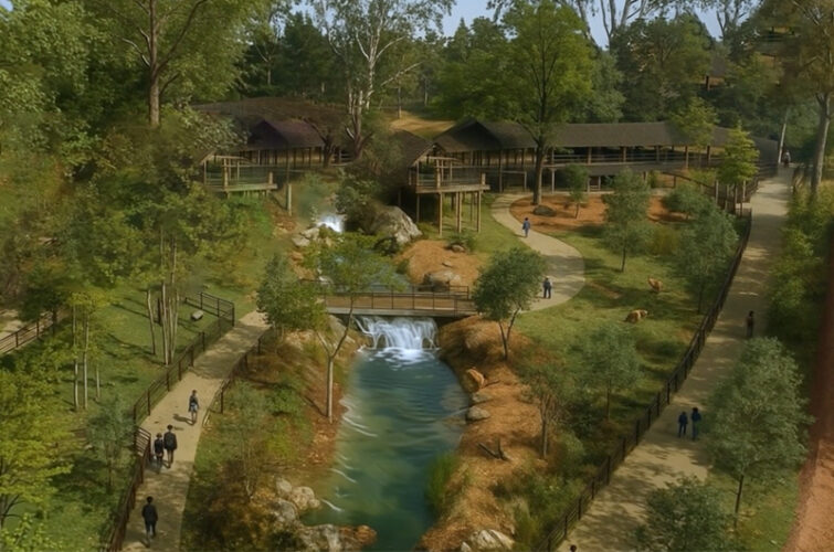 2 nouveautés en 2026 au ZooParc de Beauval