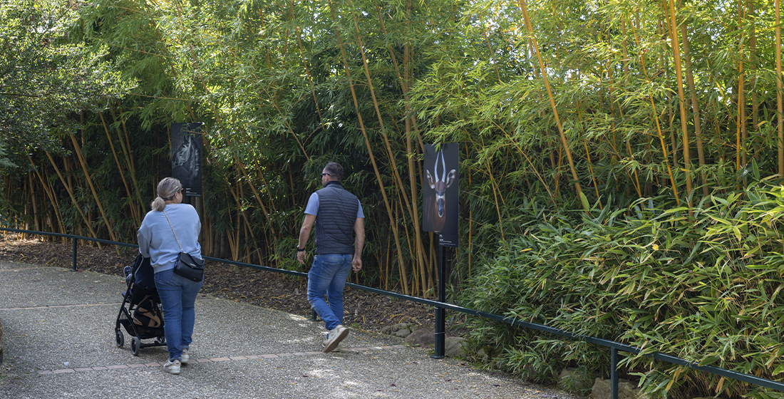 Expo photos Daniel Chêne Expo photos Daniel Chêne