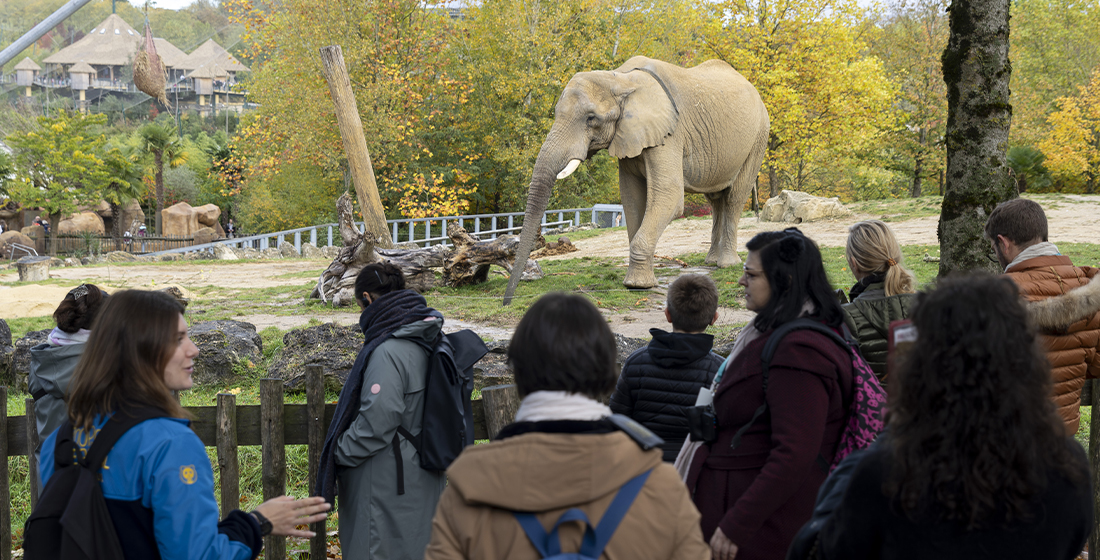 Journée des Parrains du 25 octobre 2025 Journée des Parrains du 25 octobre 2025