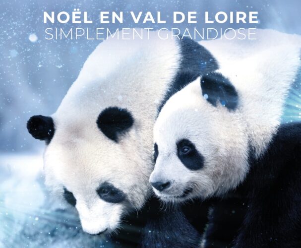 Campagne Noël Val de Loire Beauval 2025