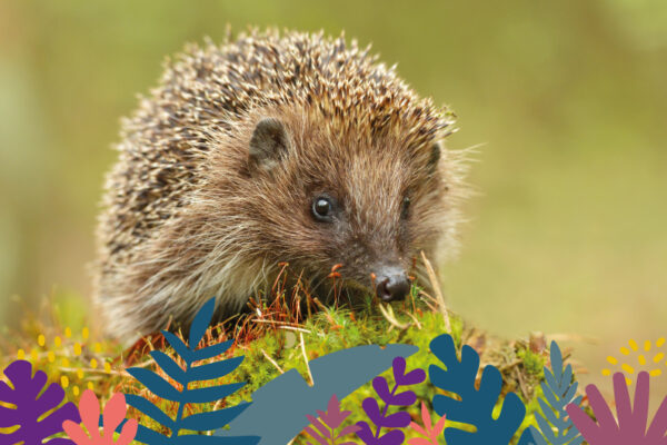 Animations Maison Beauval Nature printemps 2026