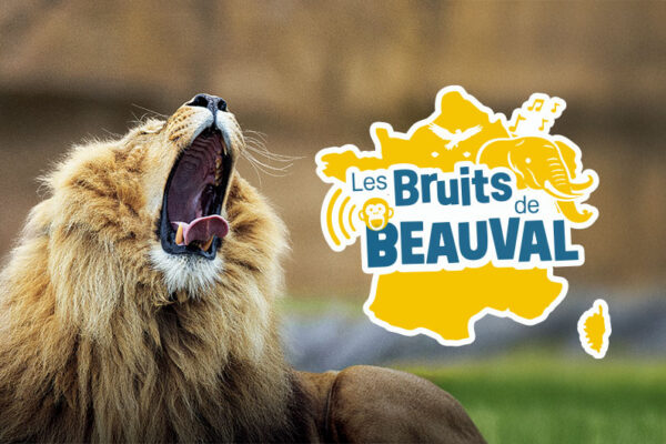 Jeu Bruits de Beauval Tour de France 2026