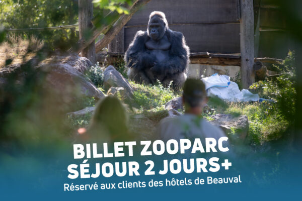 Billet ZooParc Hôtel nouveauté Beauval