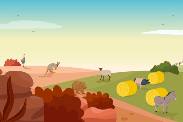 Jeu nouveautés 2026 Beauval