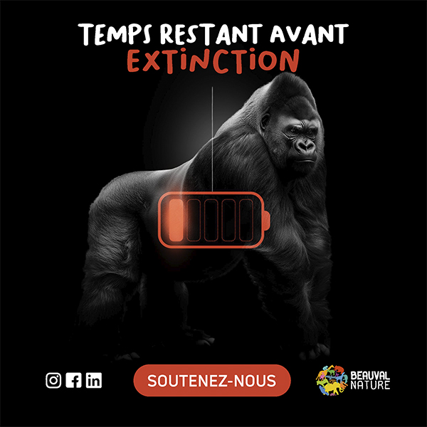 Campagne publicitaire Beauval Nature avril 2026