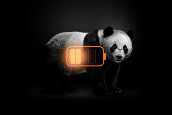 Campagne publicitaire Beauval Nature avril 2026