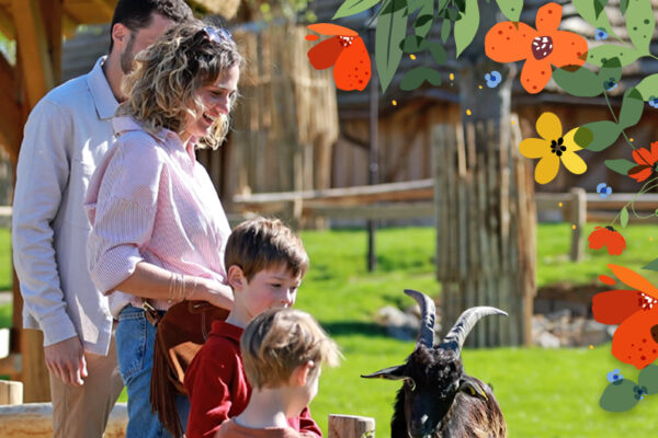 jeu Fête des Mères Beauval 2026