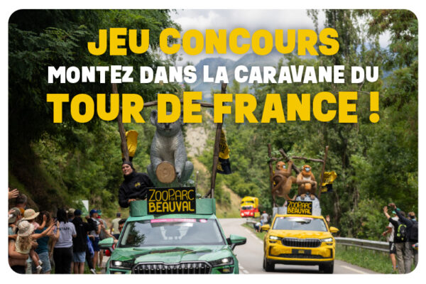Tour de France - Gagner une étape grâce à votre parrainage