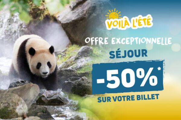 Offre été Beauval 2026 billets et séjours