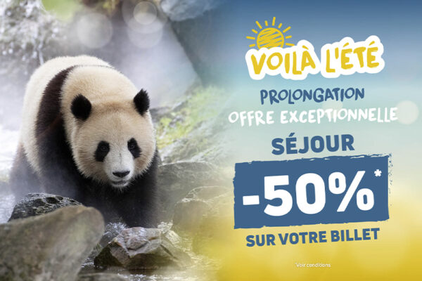 Offre voilà l'été - Prolongation exceptionnelle