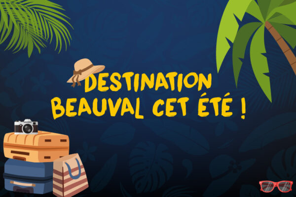 Jeu Destination Beauval été 2026