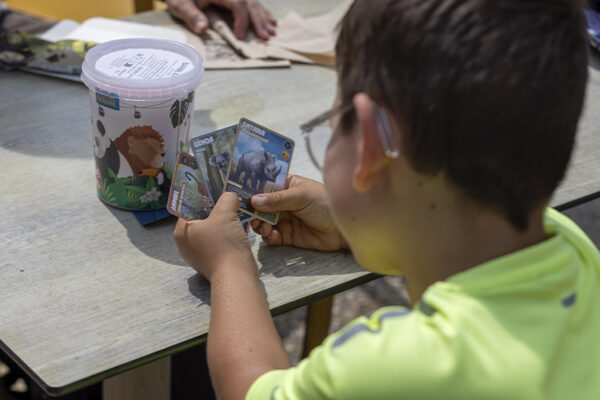 Cartes collector Beauval menu enfant