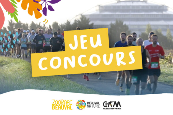 Jeu Concours L'Envolée de Beauval