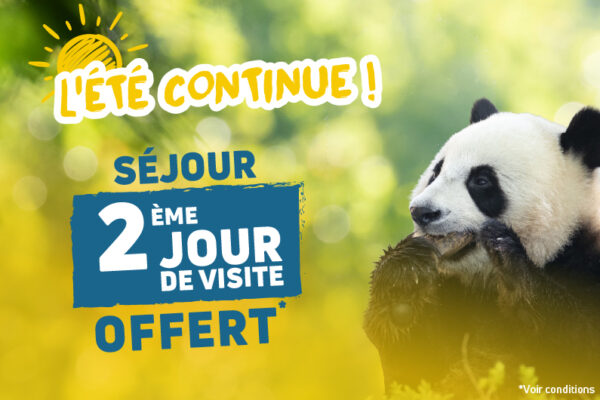 Offre été continue 2026 - Promotion billets et séjours - ZooParc de Beauval