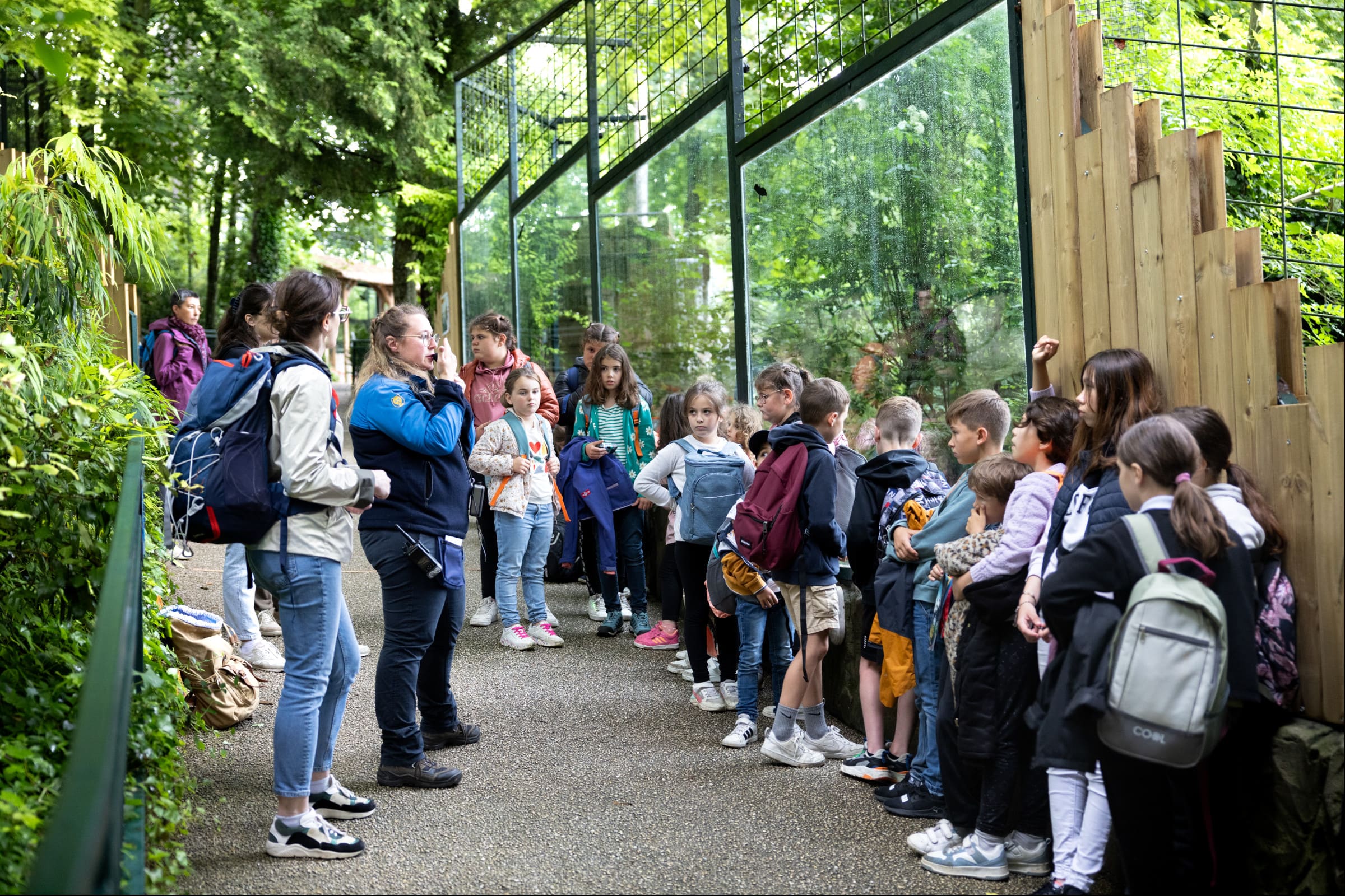 grands enfants sortie pedagogique au ZooParc de Beauval