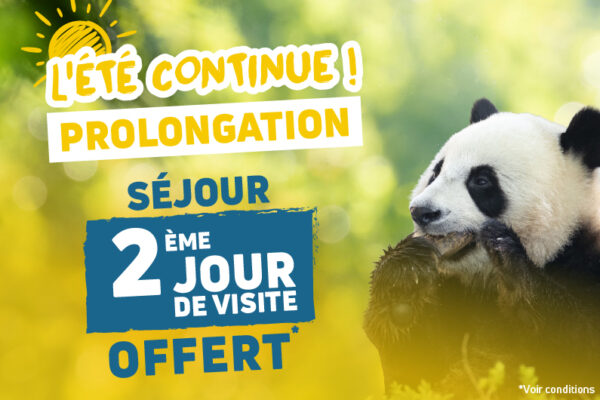 Offre exceptionnelle séjour L’Été Continue​