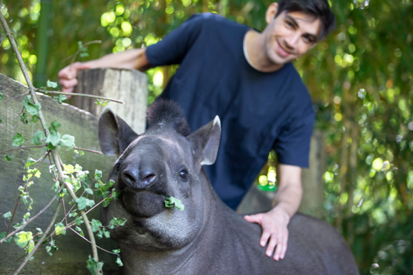 Rencontres Privilèges - Rencontre avec un tapir terrestre