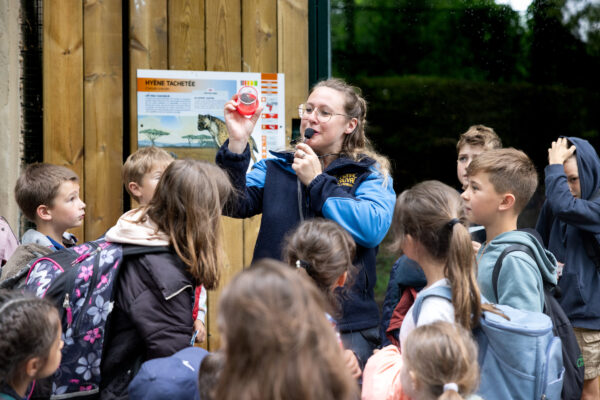 sortie pédagogique et scolaire au ZooParc de Beauval