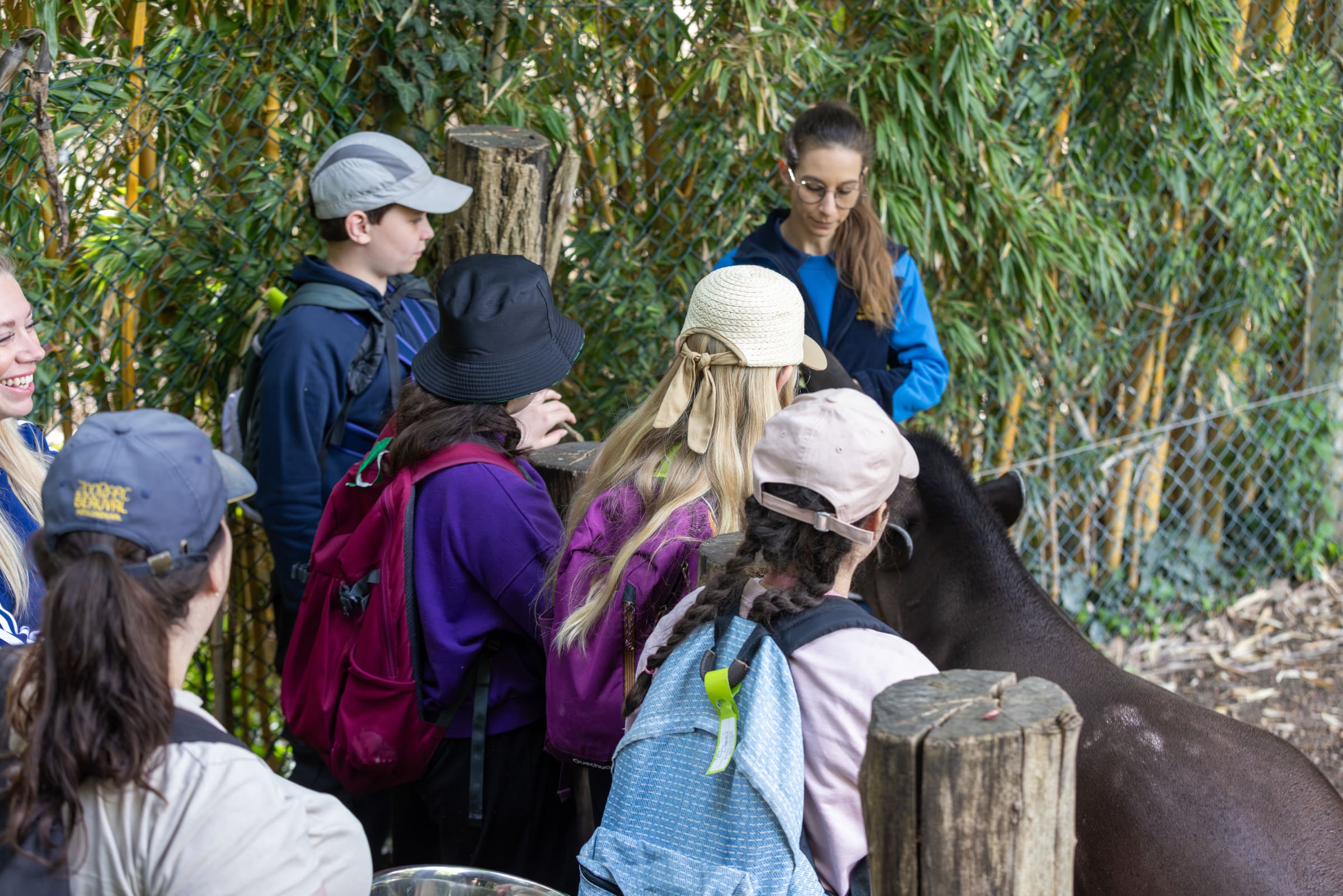 sortie pédagogique groupe scolaire avec animal (1)