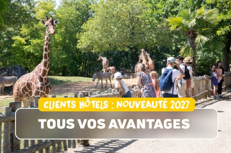 New benefits hotels 2027